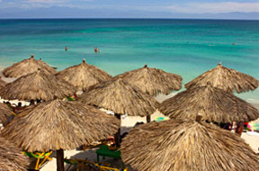 Palapas